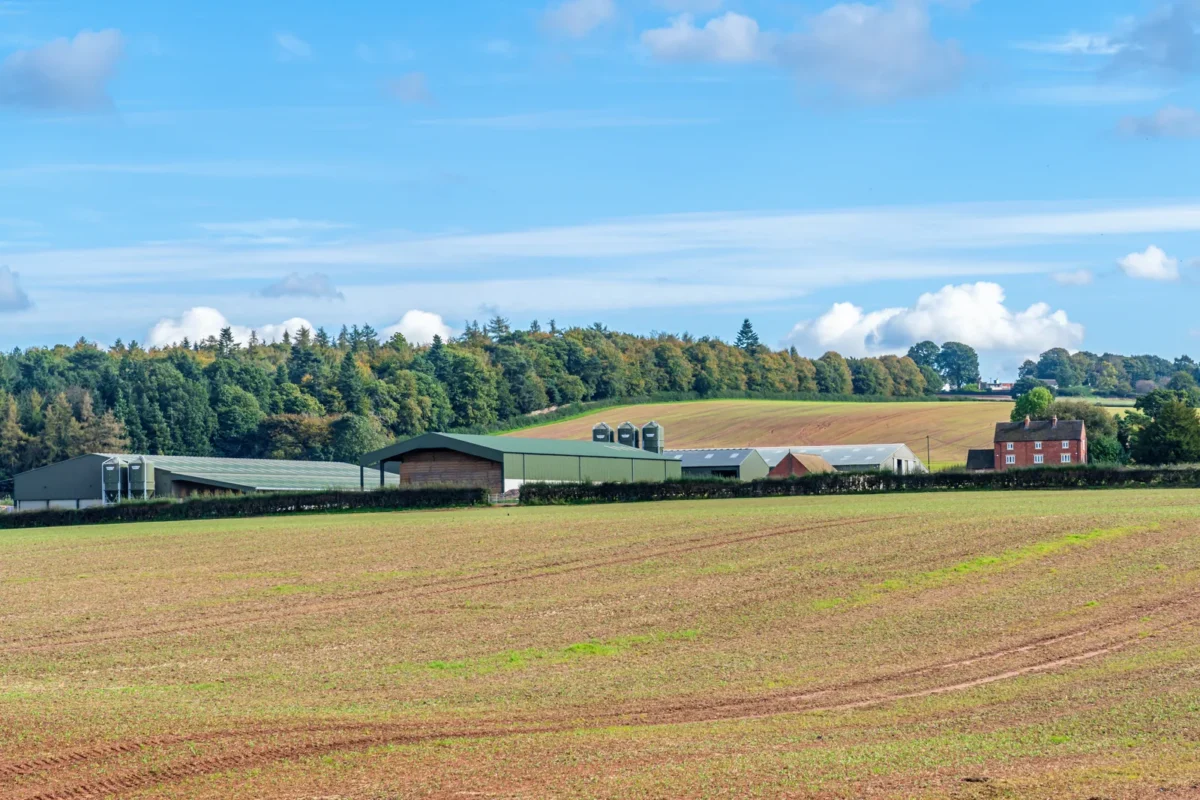 UK farm buildings and farmhouse beyond cultivated fields